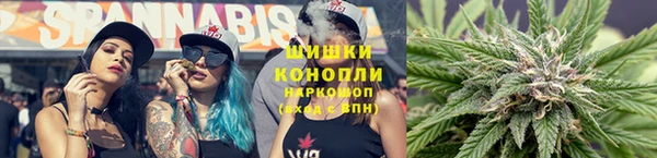 spice Арсеньев
