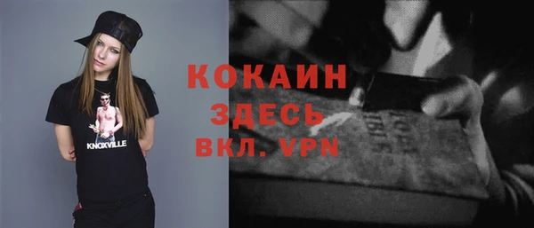 spice Арсеньев