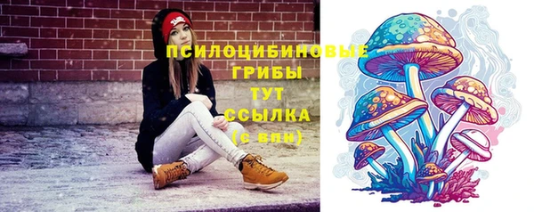 дурь Аркадак