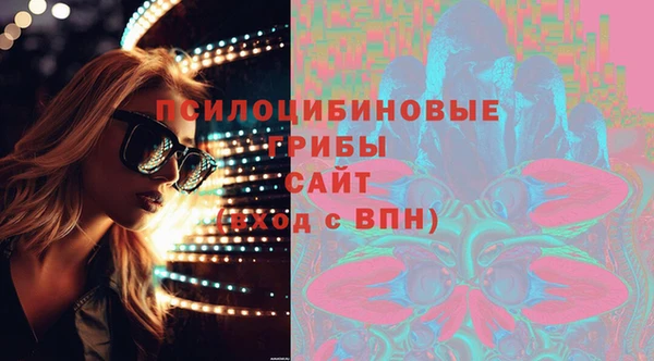 2c-b Армянск