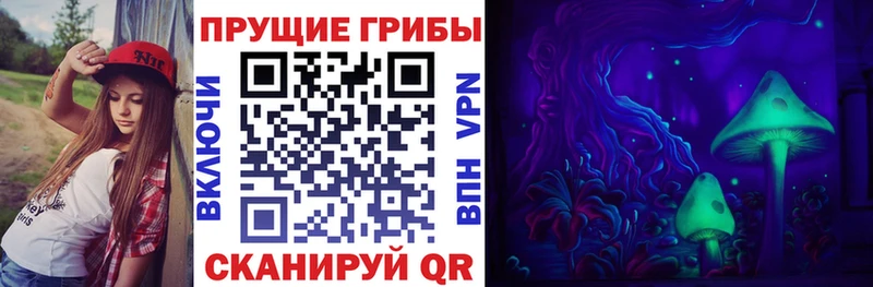 закладки  кракен ТОР  Галлюциногенные грибы MAGIC MUSHROOMS  Старая Купавна 